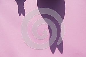 Shadow from a easter bunny, background