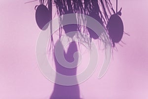 Shadow of easter eggs, and easter bunny, pink background