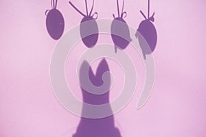 Shadow of easter eggs, and easter bunny, pink background