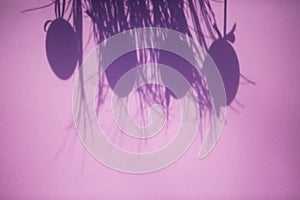 Shadow of easter eggs, pink background