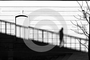 Shadow on a facade wall of a person walking down the stairs and a bare tree