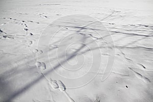 Shadow and footsteps on snow in winter