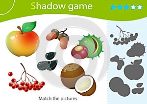 Shadow Game for kids. Match the right shadow. Color images of fruits of trees and plants. Apple, rowan, seeds, coconut, chestnut,