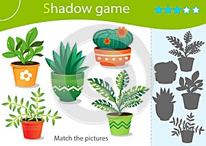 Shadow Game for kids. Match the right shadow. Color images of  houseplants or indoor plants. Worksheet vector design for children