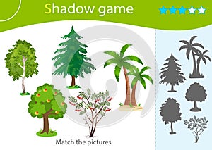 Shadow Game for kids. Match the right shadow. Color images of trees. Birch, Rowan, apple tree, palm, pine, fir.  Worksheet vector