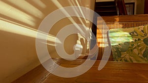 Shadow of a girl and blinds with short hair and long earrings drinking coffee in a cozy interior of cafe. Anonymous