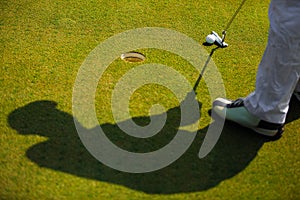 Shadow of golfer That is going to putt