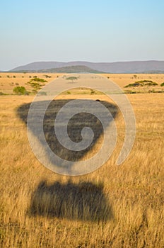 The shadow of a hot air balloon reflects on the plains of Serengeti National Park in Tanzania, Africa at sunrise