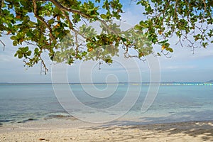 The shadow of the Indian almond tree on the sea-view background