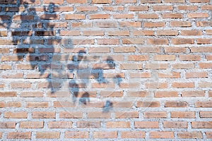 Shadow of leaf Old vintage red brick wall texture or background