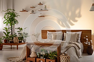 Shadow of a leaf on a wall in a botanical bedroom interior with a comfy double bed. Real photo