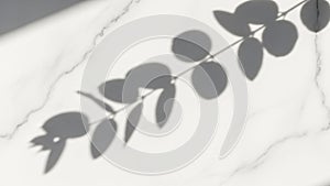 The marble shows subtle veins adding texture to the smooth surface