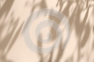 Shadow of leaves on solid beige wall texture background