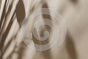 Shadow of leaves on solid beige wall texture background