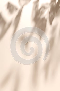 Shadow of leaves on solid beige wall texture background