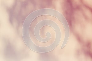 Shadow leaves on the wall .Tree shadow on the white concrete wall pattern