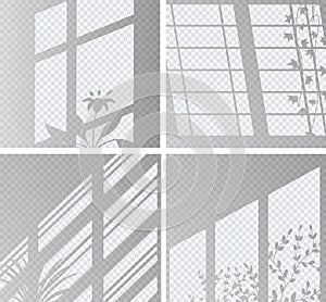 Shadow and light from the window and plants