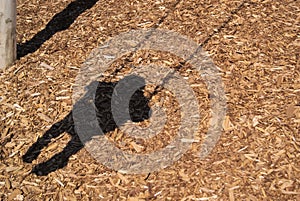 Shadow of little boy on swing at park on mulch