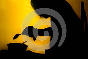 Shadow at look past canvases background.