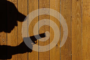 Shadow of a man with a gun on a wooden fence