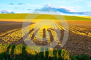 Shadow of a men on a brown plowed field at sunset.