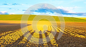 Shadow of a men on a brown plowed field at sunset.