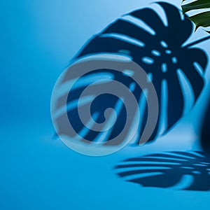 Shadow of Monstera Leaf on Blue Background