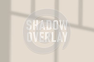 Shadow overlay effect. Natural shadows from window isolated on transparent background. Vector soft shadow and light overlay effect