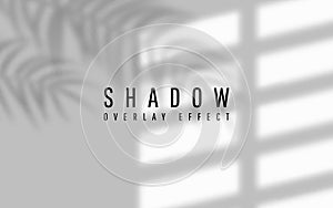 Shadow overlay effect. Transparent shadow of window. Vector illustration