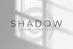 Shadow overlay effect. Transparent soft light and shadow from window frame, natural lighting scene. Mockup of abstract transparent