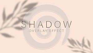 Shadow overlay effect. Transparent soft light and shadows from branches, plant, foliage and leaves. Mockup of