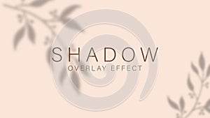 Shadow overlay effect. Transparent soft light and shadows from branches, plant, foliage and leaves. Mockup of