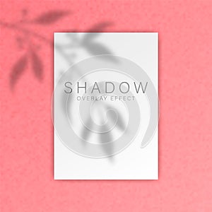 Shadow overlay effect. Transparent soft light and shadows from branches, plant, foliage and leaves. Mockup of