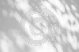 Shadow overlay effect on white background. Abstract sunlight background with organic shadows from plants, leaves, and branches