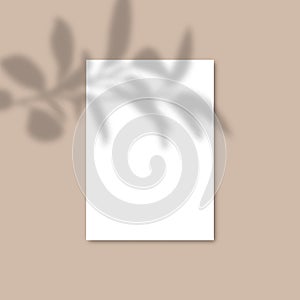 Shadow Overlay Plant Vector Mockup A4 Paper sheets. Shadows overlay effects Of A leaf