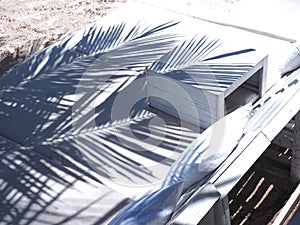 Shadow of palm leaves pattern on sunbath bed