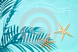 Shadow of a palm tree on a Blue water background