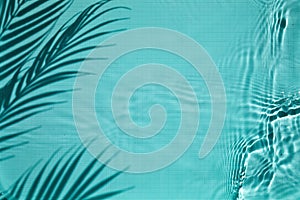 Shadow of a palm tree on a Blue water background