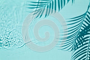 Shadow of a palm tree on a Blue water background