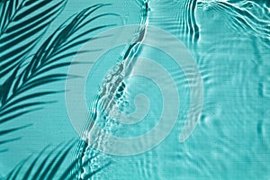 Shadow of a palm tree on a Blue water background