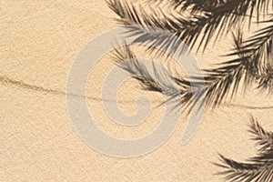 The shadow of a palm tree branch on the sand of a sandy tropical beach. Background, copy space, travel, summer concept. Flat lay.