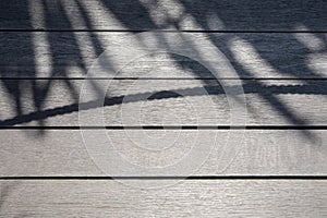 Shadow of palm tree leaves and a rope on wooden background