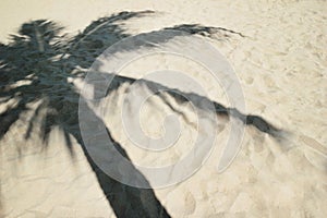 Shadow from palm tree on a sandy beach.