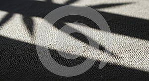 Shadow patterns of leaves, possibly tulips,