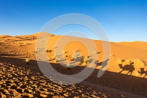 Shadow of people sitting on the camel in Sahara desert, Erg Chebbi, Merzouga, Morocco