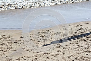 Shadow of a person on the sand of the beach of Ondina in a strong sunny day photo