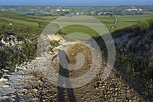 Shadow pilgrim, rural landscape, Camino Frances