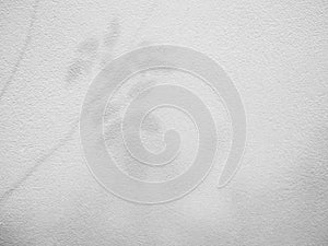 Shadow plant leaf textured minimalism backdrop cement background for mock up
