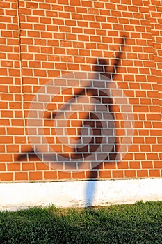 Shadow of the posing girl on a red brick wall