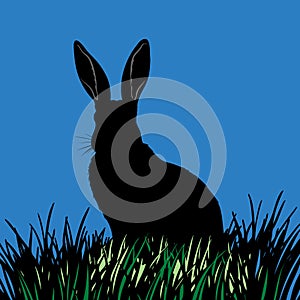 Shadow of the rabbit, Simple vector illustration format.